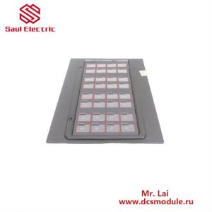ABB Bailey IIADP02 DISPLAY PANEL - ABB PLC Modules