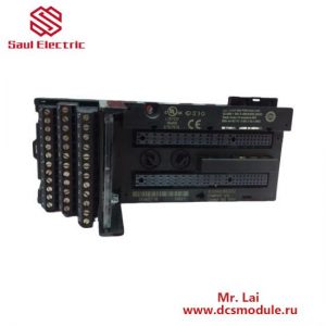 GE-FANUC IC200CHS022 Controllers