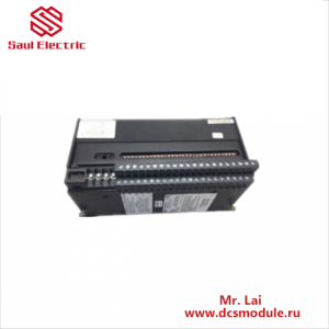 GE FANUC IC660 TBD024M Memory Module