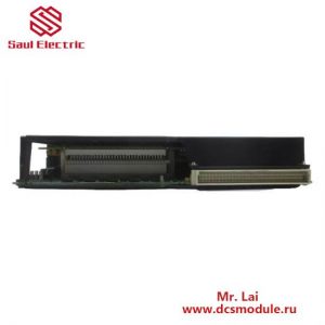 GE-FANUC IC697BEM763: I/O Expansion Module