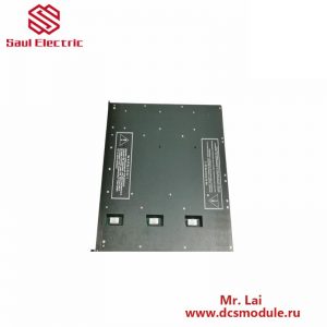 TRICONEX 9001NJ(6FEET) Control Module